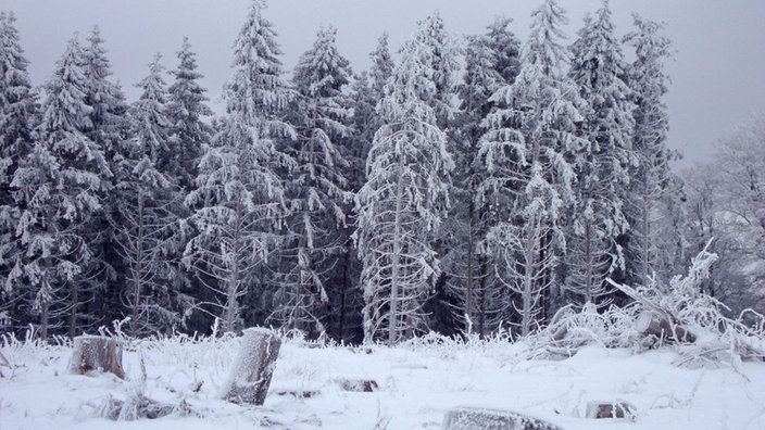 Bad Berleburg-Wunderthausen: wunderschöne Winterlandschaft