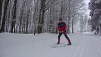 Langlauf der Extraklasse: Langlauffahrer von vorne auf Schnee-Strecke