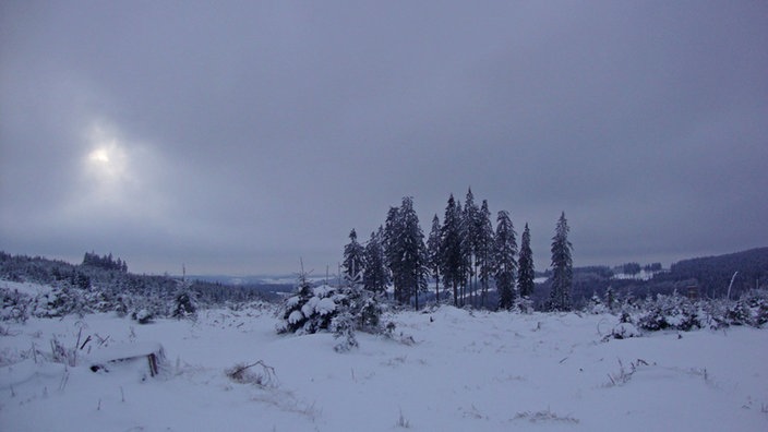 Weiblick über Schneelandschaft: Wolken, dick gefüllt mit Schnee