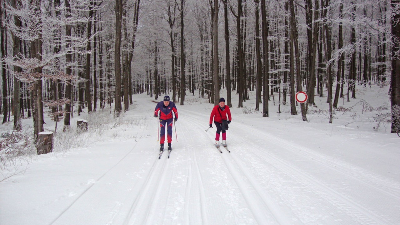 Zwei Personen im schneebedeckten Wald auf Langlauf-Skiern unterwegs