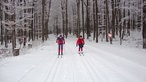 Zwei Personen im schneebedeckten Wald auf Langlauf-Skiern unterwegs
