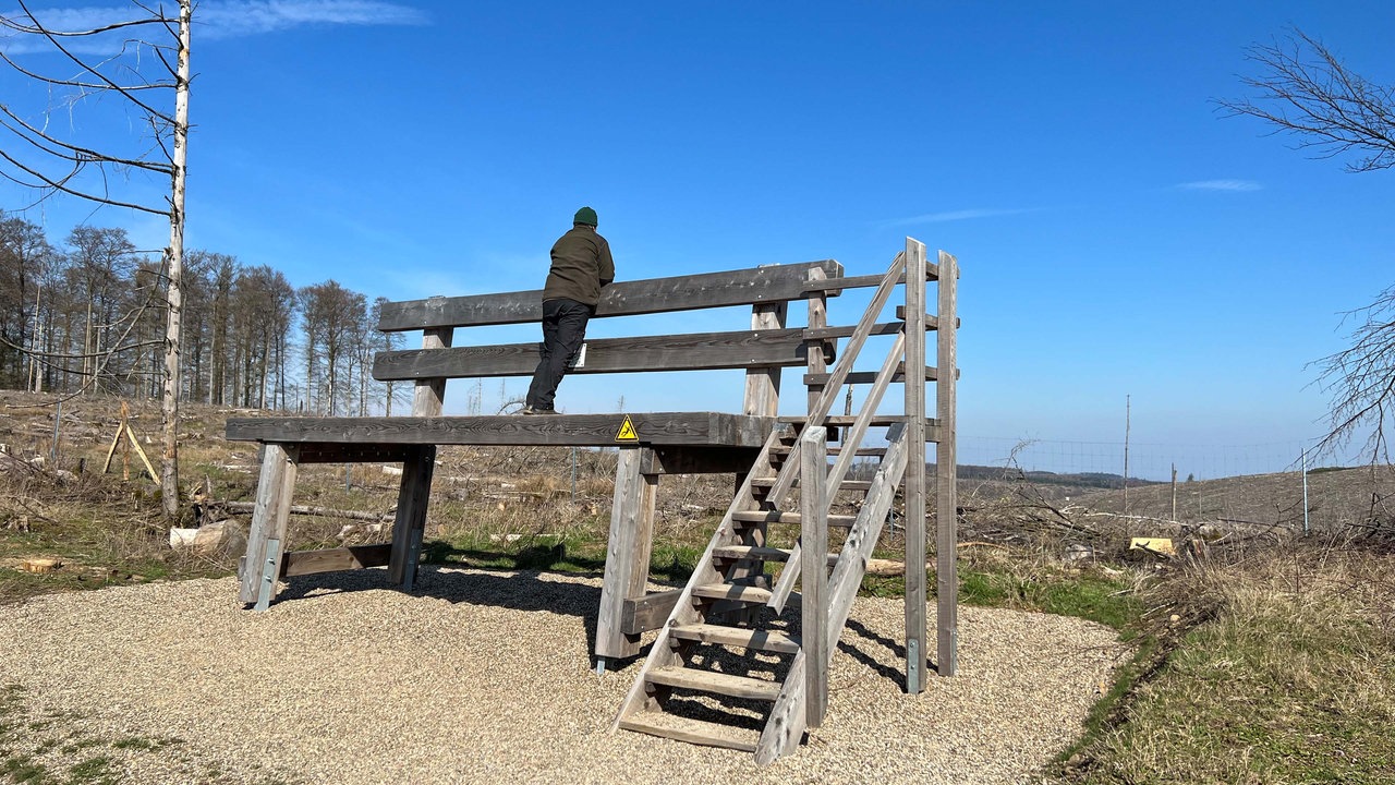 Die Riesenbank