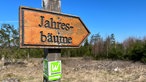 Die Bäume des Jahres