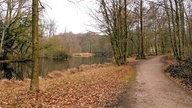 Schmaler Spazierweg führt durch einen winterlichen Wald entlang eines Sees