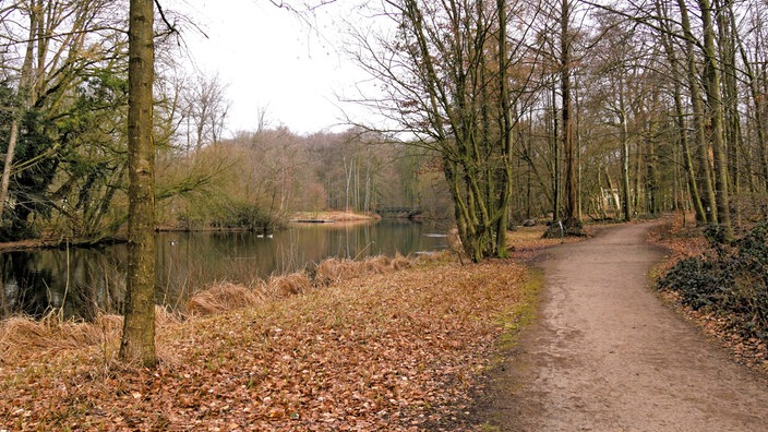 Schmaler Spazierweg führt durch einen winterlichen Wald entlang eines Sees