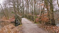 Holzbrücke über einen Bach in einem laublosen Wald mit braunen Blättern auf dem Boden