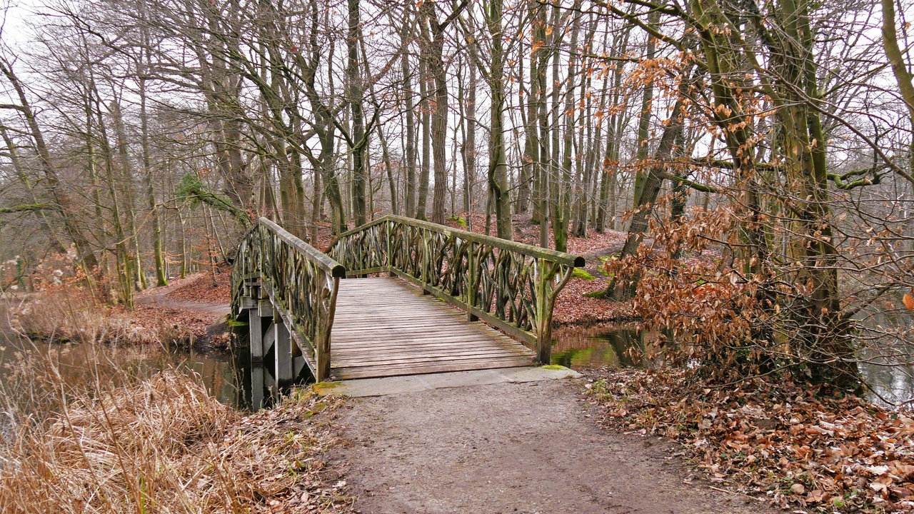 Holzbrücke über einen Bach in einem laublosen Wald mit braunen Blättern auf dem Boden
