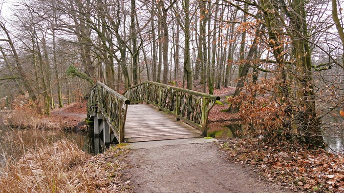 Holzbrücke über einen Bach in einem laublosen Wald mit braunen Blättern auf dem Boden