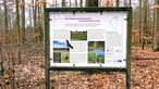Informationstafel im Wald mit Karte und Texten zu den NaTourismus-Routen im Steinfurter Land
