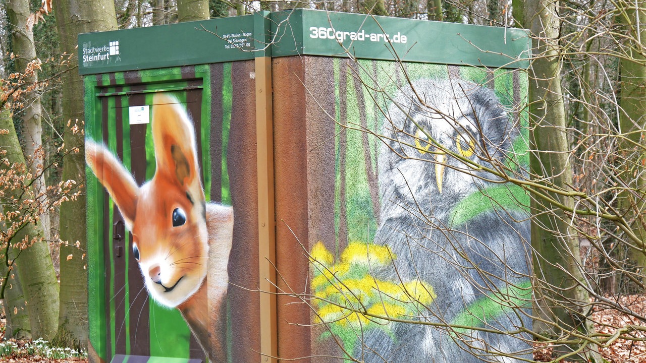Großer Stromkasten mit Graffiti eines Eichhörnchens und eines Vogels