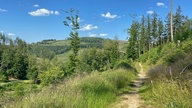 Unterwegs auf dem Trödelsteinpfad in Burbach: Naturweg mit Ausblick in Berg und Tal