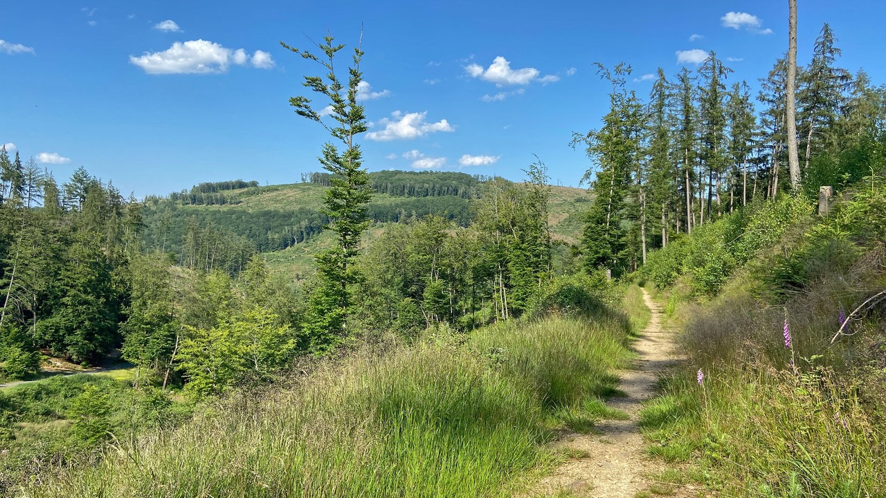 Unterwegs auf dem Trödelsteinpfad in Burbach: Naturweg mit Ausblick in Berg und Tal