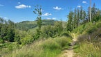 Unterwegs auf dem Trödelsteinpfad in Burbach: Naturweg mit Ausblick in Berg und Tal