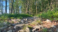 Unterwegs auf dem Trödelsteinpfad in Burbach: Viele Steine sind Vulkangesteine