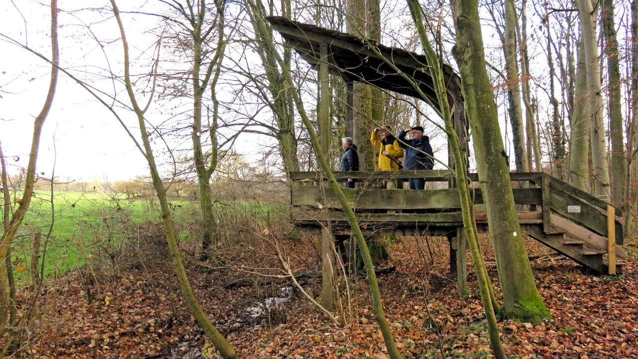 Wandern rund ums Schloss Nordkirchen: Wanderer auf einer überdachten Aussichtskanzel