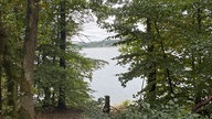 Wandern um den Sorpesee: Blick vom Wald bergab zum See