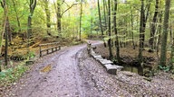 Eine Holzbrücke quert der Weg über den Glör-Bach