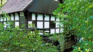 Fachwerkhaus zwischen Blättern zu sehen