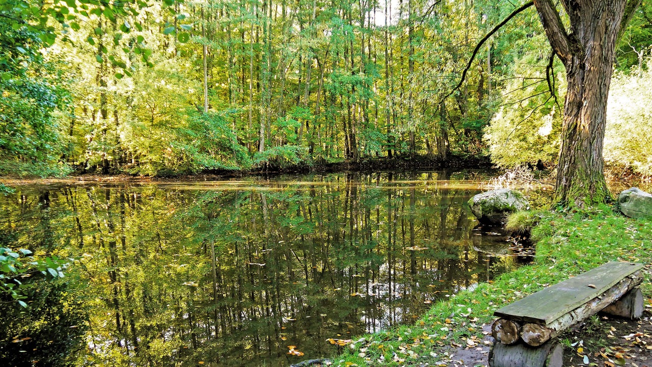 Ein Gewässer im Wald eingebettet mit Steinbank am Ufer