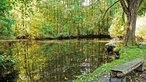 Ein Gewässer im Wald eingebettet mit Steinbank am Ufer