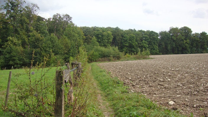 Ein Wanderweg entlang eines Zaunes links und Feldes rechts