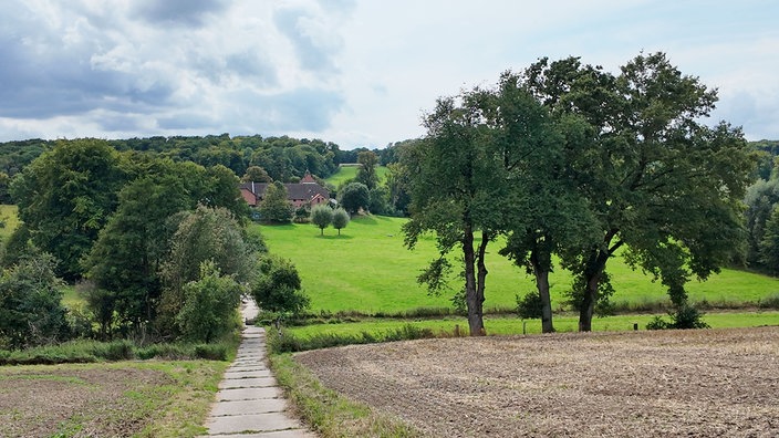 Weiter Blick auf Landschaft mit Bäumen und einem Gutsbauernhof