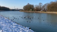 Blick auf den Datteln-Hamm-Kanal. Am Rand liegt Schnee, auf dem Wasser befindet sich ein Schwarm Blässhühner. 