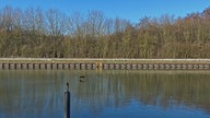 Blick auf den Datteln-Hamm-Kanal. Ein Komoran fliegt knapp über der Wasseroberfläche. 