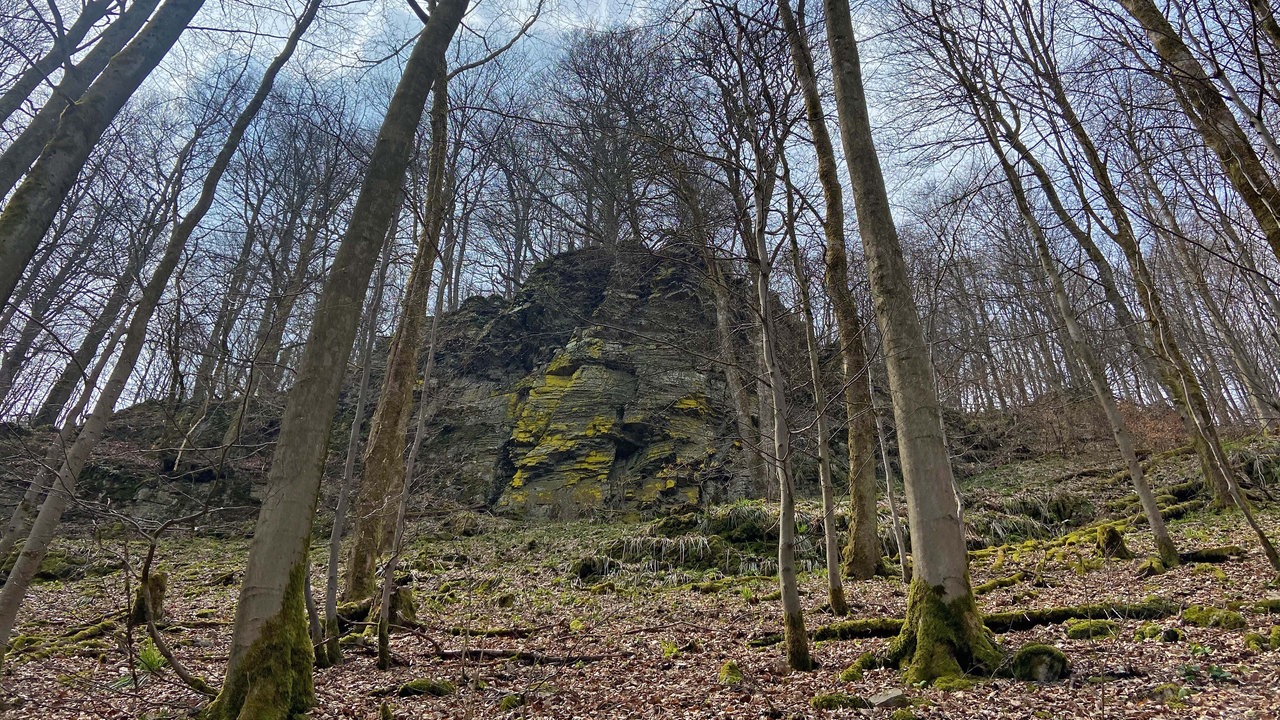Das Hollenhaus mitten im Wald 