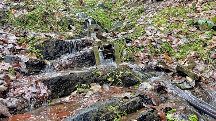Wasserräder im Wald
