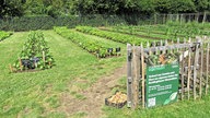Nutzgarten 