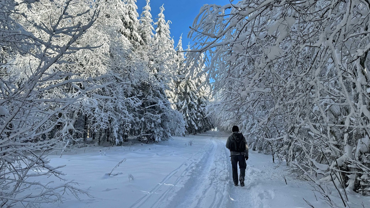 Ein Wanderer in der Winterlandschaft