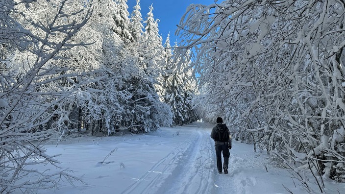 Ein Wanderer in der Winterlandschaft