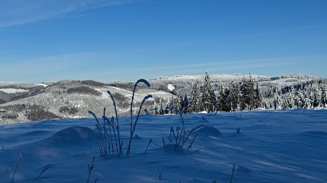 Winterpanorama auf dem Wanderweg bei Hoheleye