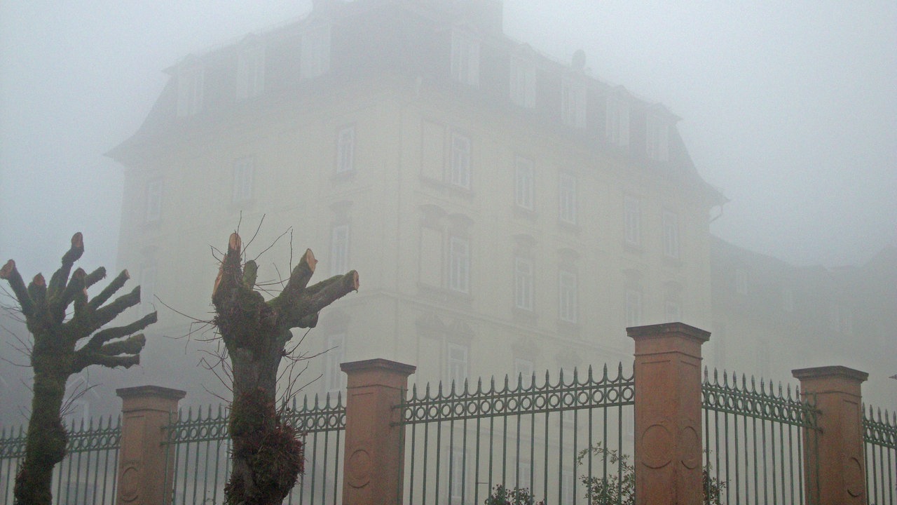 Im nebeligen Winter-Dunst auf dem Wittgensteiner Mythen- und Sagenweg unterwegs