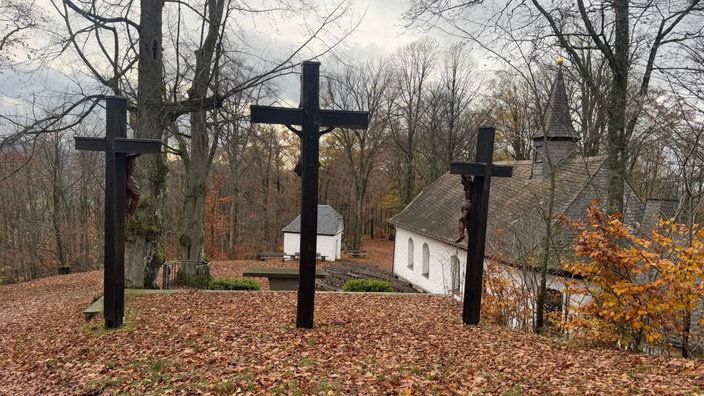 Wilzenberg: Ensemble aus großen Holz-Kreuzen in herbstlicher Waldkulisse
