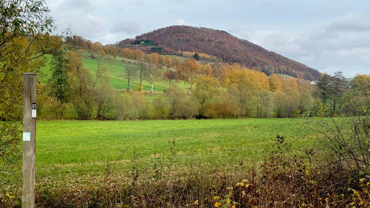 Blick aus Richtung Schmallenberg auf Felder, Wald und den Wilzenberg