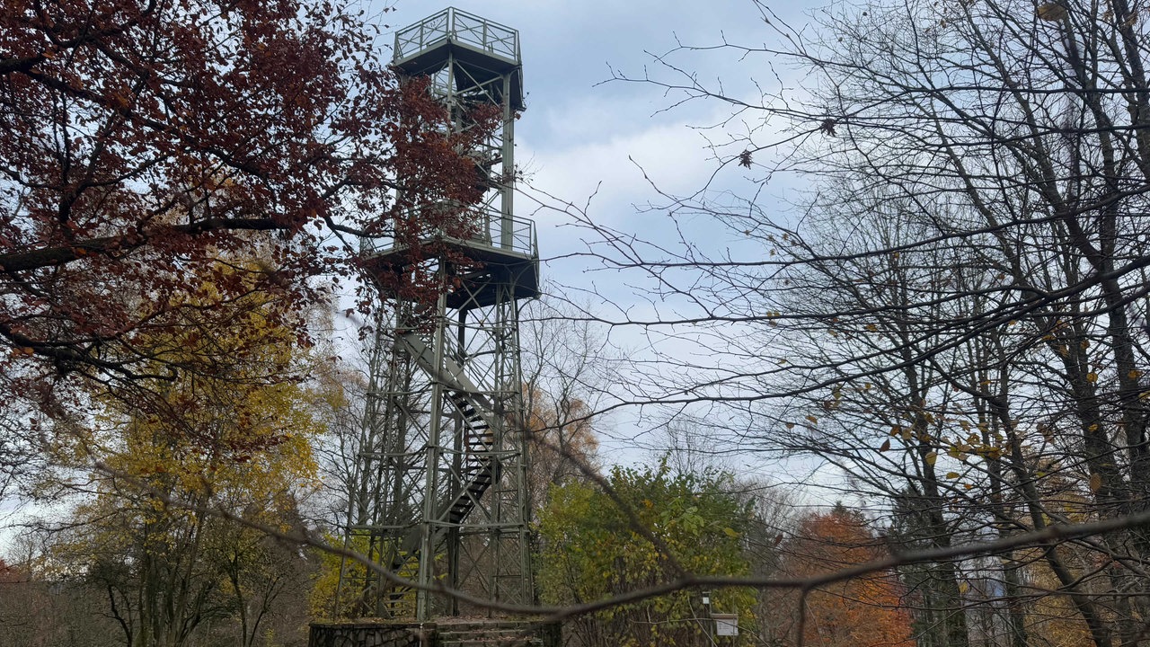 Blick auf den Wilzenbergturm: 17 Meter hoher Aussichtsturm in Stahlfachwerkbauweise auf dem Wilzenberg