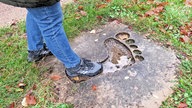 Über den "Weg der Riesen" auf den Bochumer Tippelsberg