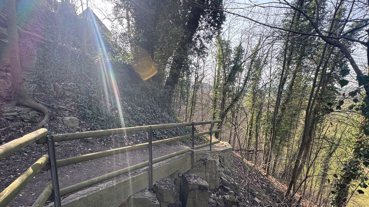 Ein Waldweg mit Holzgeländer,  der an einem kleinen Abhang vorbeiführt. Die Sonne scheint durch die Baumkronen.