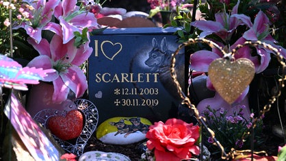 Ein Grabstein für die im Jahr 2019 verstorbenen Hunde Alien und Scarlett steht auf dem Friedhof des Teltower Tierbestattungszentrums Tierhimmel an einem Grab