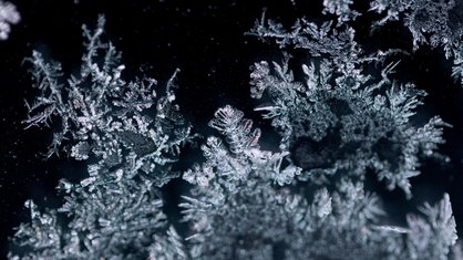 Eiskristalle an einer Autoscheibe bilden baumartige Muster
