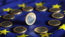 Symbolbild: Euromünzen auf einer EU-Flagge