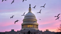 Das Kapitol-Gebäude in Washington.