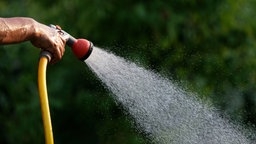 Hand hält Gartenschlauch, aus dem Wasser kommt, Symbolbild, Trockenheit