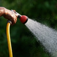 Hand hält Gartenschlauch, aus dem Wasser kommt, Symbolbild, Trockenheit