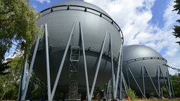 Zwei Kugelgasbehälter stehen zwischen Bäumen in Mariendorf, Berlin.