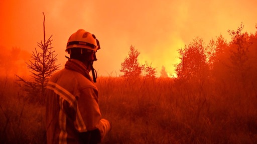 Ein Feuerwehrmann im brennenden Hohen Venn (17.08.2026).
