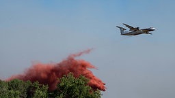 Ein Löschflugzeug im Einsatz (Frankreich, 24.07.2026).