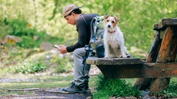 Ein junger Mann sitzt mit einem Hund auf einer Bank im Wald und blickt auf sein Smartphone.